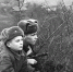 image (3).png - In-Voskresensk.Ru