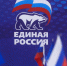 В «Единой России» объявили о создании единого волонтерского штаба - Городской округ Воскресенск