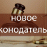 Постановление Конституционного суда РФ: Ответственность за несоответствие расходов госслужащего его доходам - Городской округ Воскресенск