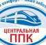 ЦППК перевезла 3,5 млн пассажиров с 10 по 12 июня - Городской округ Воскресенск