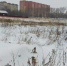 Воскресенск в числе лидеров по предоставлению участков для врачей - Городской округ Воскресенск