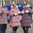 В воскресенском парке прошел праздник, посвященный Дню кошек в России - Городской округ Воскресенск
