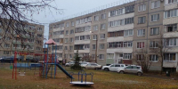 Аварийное дерево спилили на Центральной улице - Regions.Ru