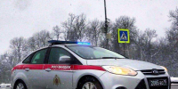 Воскресенские росгвардейцы задержали алковора - Regions.Ru