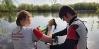 В парке усадьбы Кривякино очистили от мусора берег Москвы-реки - Regions.Ru