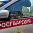 В Воскресенске росгвардейцы задержали женщину, которая украла деньги у знакомого - Regions.Ru