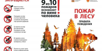 Берегите лес от пожара! - Городской округ Воскресенск
