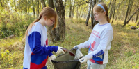 Жители Воскресенска очистили от мусора лес на улице Горького - Regions.Ru