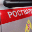 Росгвардейцы задержали жителя Воскресенска, избившего сожительницу - Regions.Ru