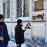 В Воскресенске почтили память поэтов - Городской округ Воскресенск